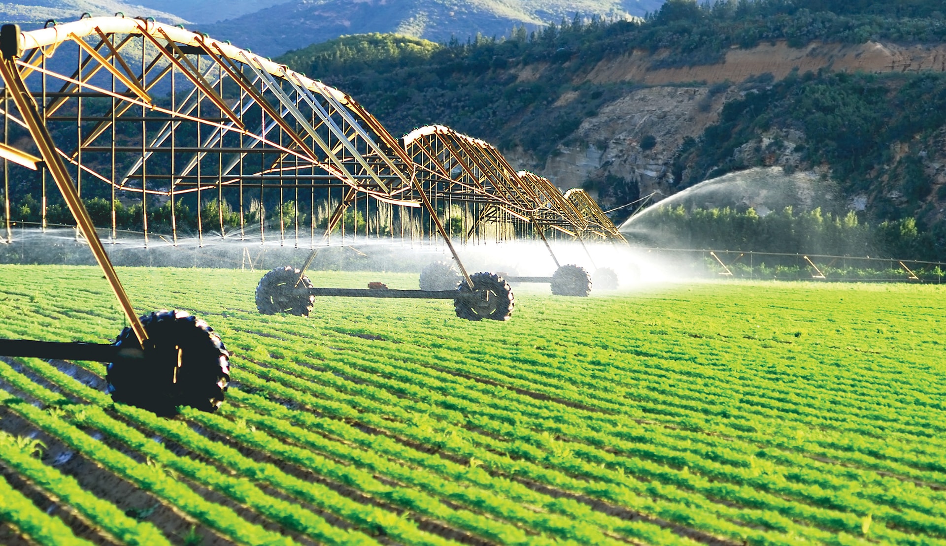 Irrigated systems -min