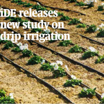 iDE releases new study on drip irrigation