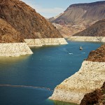 Why loss calculations must include opportunity costs