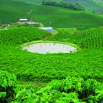 Brazil: Agriculture expansion could reduce rainfall in Brazil’s Cerrado