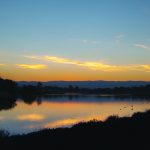 Cities sign up to ‘My water pledge’