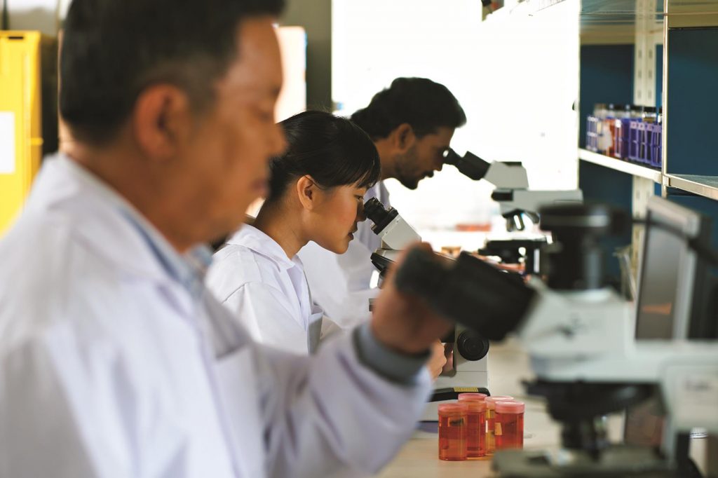 The research has to go from the lab bench to the real world, so Singapore opens all its plants for test-bedding