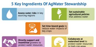 Major food companies to tackle water risks in supply chains
