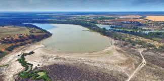 How to endure drought: a multi-faceted response