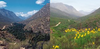 To add water, subtract weeds