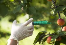 What role should agritech play in managing water resources?