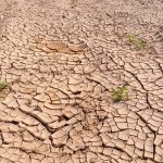 The wisdom of planning for a Water Wise Kenya