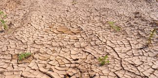 The wisdom of planning for a Water Wise Kenya