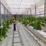 New project enabling food production in harshest climates