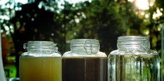 How local wastewater treatment is transforming city infrastructure