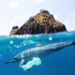 Plastic waste overwhelming world’s oceans, says UN chief