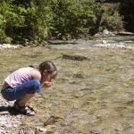 Shifting values towards conservation