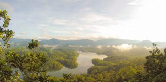 The Green-Grey Era – or how we are heading towards the integration of Nature-based solutions
