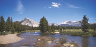 Water markets come to town