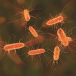 Integrating drinking water quality monitoring into the digital future of utilities