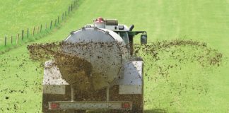 Rethinking our nitrogen needs in the circular economy