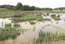 UK utility activity through the SDG lens