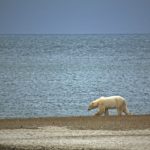 ‘Twice as fast’ global warming in Canada