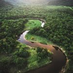 WWF costs the impact of global environmental crisis