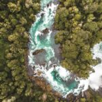 Global warning on biodiversity © iStock / Alexis Gonzalez