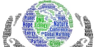 Sector opportunities for methane emission action