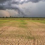 EEA cites climate losses across member states