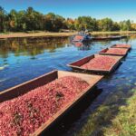 Ripe for innovation – adapting to address agriculture’s increasing thirst