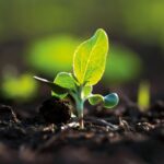 Groundwater: Nature’s hidden gem