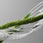 Shift to Renewable Polymers © Kemira