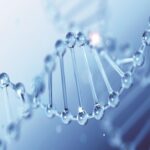 Inside IWA’s DNA: how we adapt and thrive