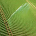 Seizing the agricultural opportunities for reused wastewater