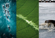 Disinfection for bathing water, reuse and stormwater treatment