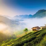 Charting the future of water and development