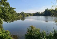 ISO launches first biodiversity standard