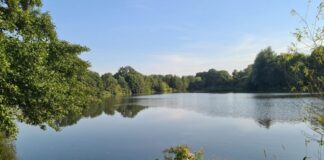 ISO launches first biodiversity standard