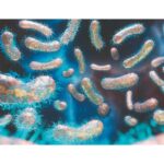 UNICEF warns of cholera risk in conflict-stricken Sudan