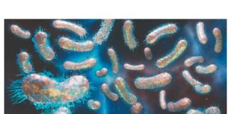 UNICEF warns of cholera risk in conflict-stricken Sudan