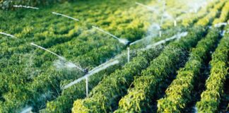 Joint report highlights food safety risks as contaminants mount up