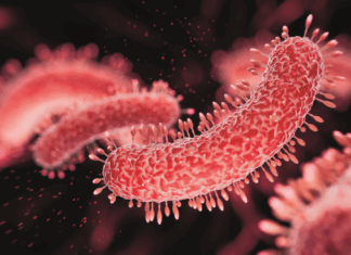 Tackling the AMR threat