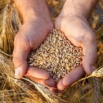 FAO report warns of growing land degradation threat