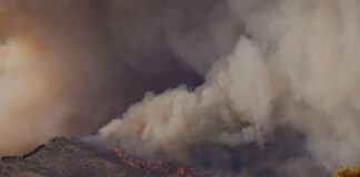 Lancet Countdown report says climate inaction is claiming millions of lives