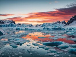 The climate action emissions evidence