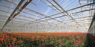 AquaConnect – Taking a circular approach to horticultural water management